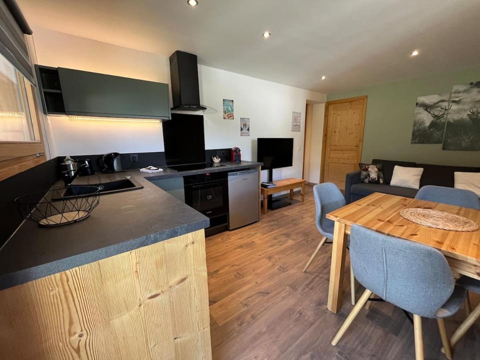 Spacious flat facing Mont Blanc Apartment in Combloux