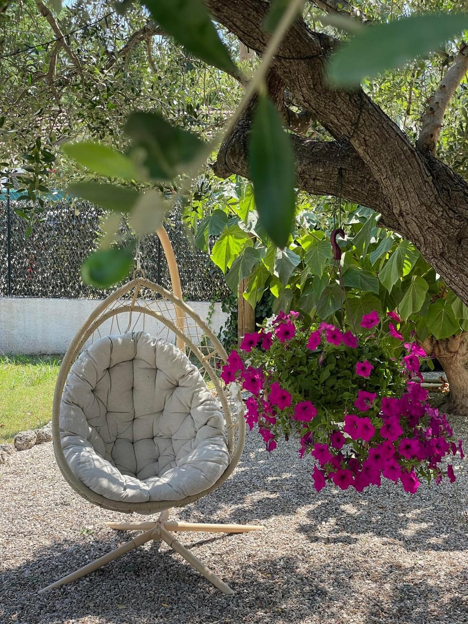 Property building, Patio, Garden