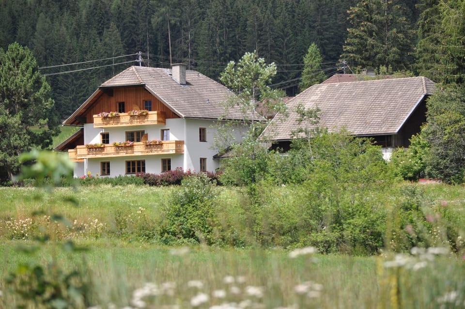 fanning 91 (zur Veitlerin) Apartment in Salzburgerland