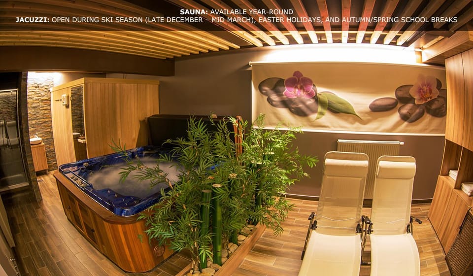 Hot Spring Bath, Hot Tub, Sauna, Spa and wellness centre/facilities, On site