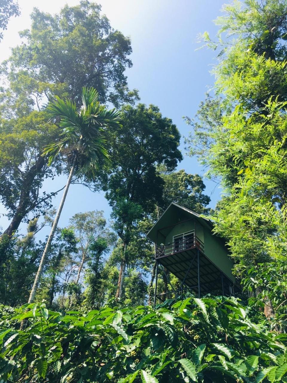 Wayanad Whistling Woods Vacation rental in Kerala