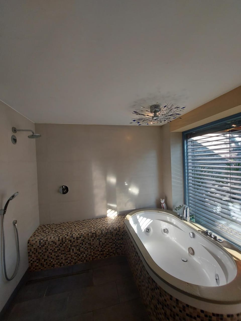 Hot Tub, Spa and wellness centre/facilities, Bath