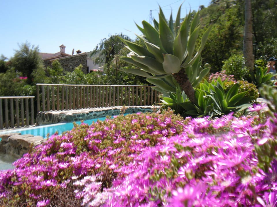 Casa Hidalgo House in Axarquía