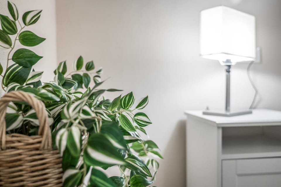 Broccaindosso Wood Apartments 5* Apartment in Bologna