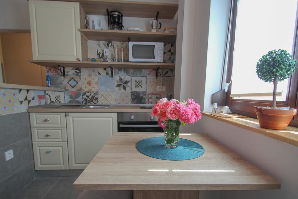 Apartment Lana Apartment in Novigrad