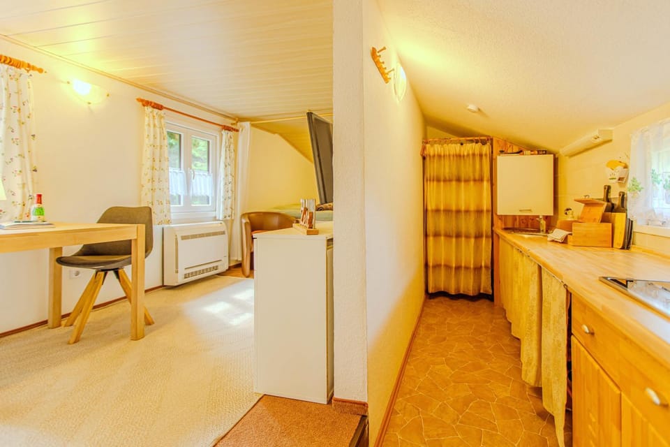 Bed, Kitchen or kitchenette, Living room, Photo of the whole room, Seating area, Dining area