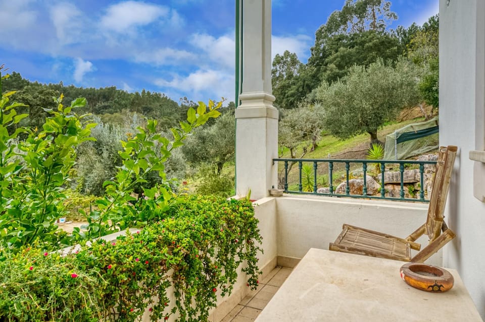 Patio, Natural landscape, Balcony/Terrace