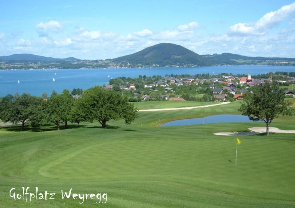 Natural landscape, Golfcourse