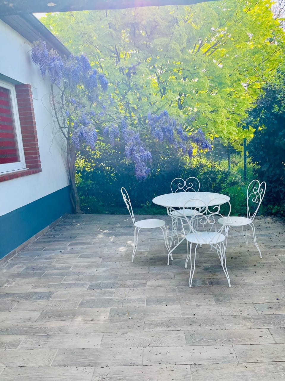 Garden, Balcony/Terrace