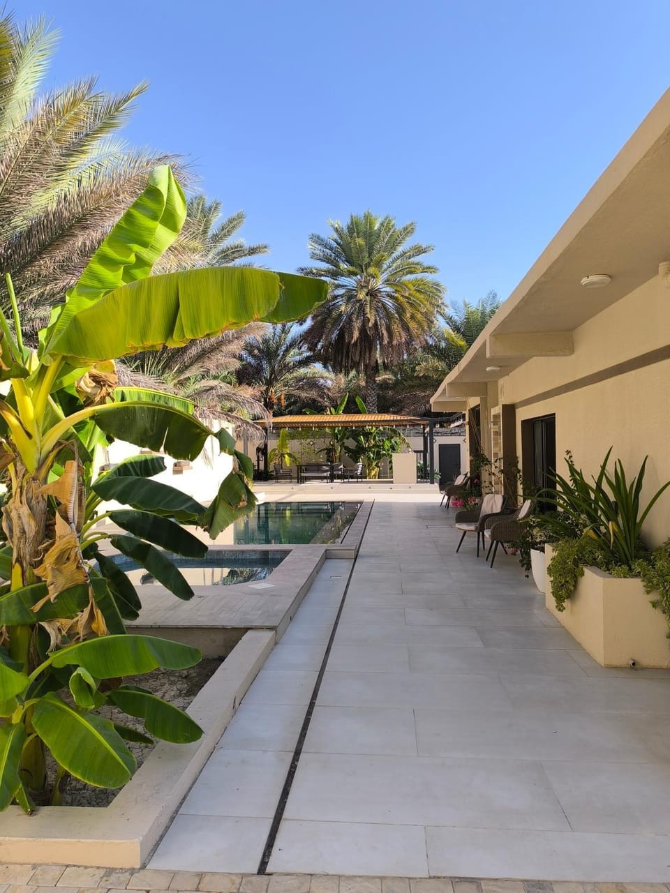 Day, Garden view, Swimming pool