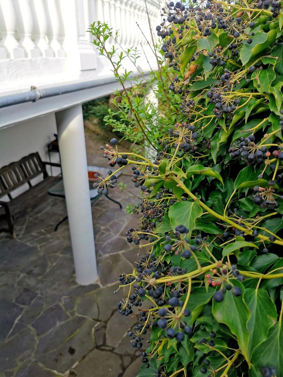 Alexa's Appartment - Nähe Europa Park Apartment in Baden-Württemberg