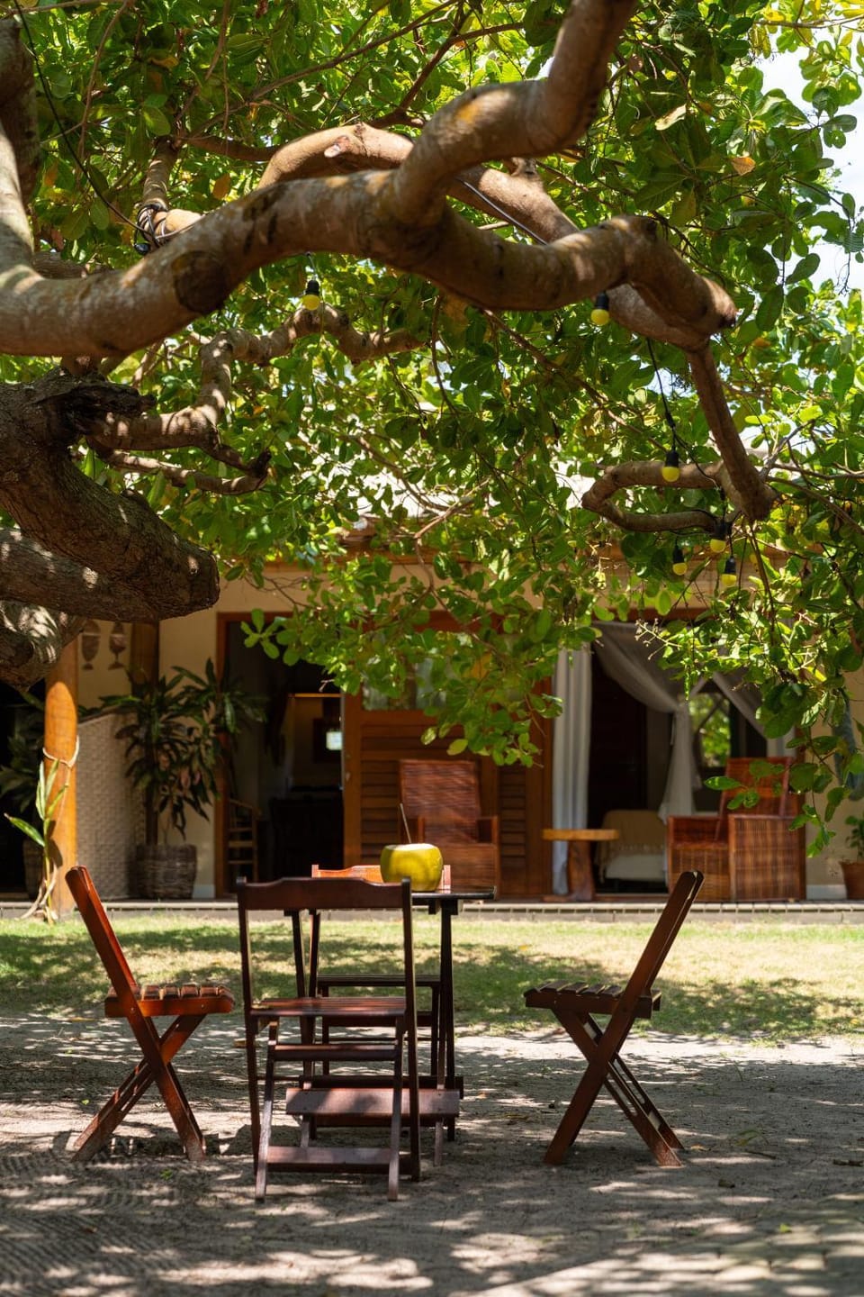 Patio, Garden