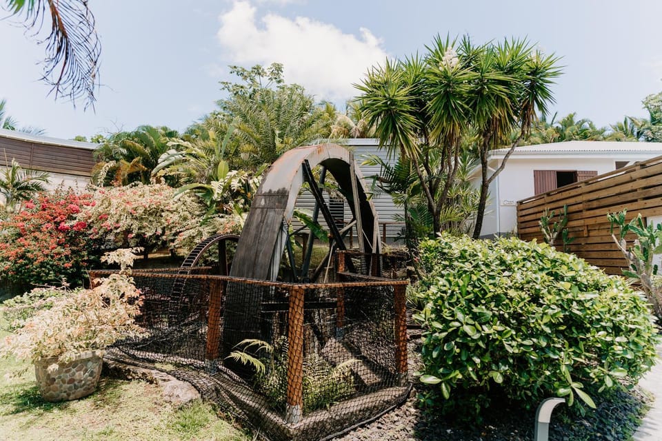 Day, Garden, Garden, Garden view