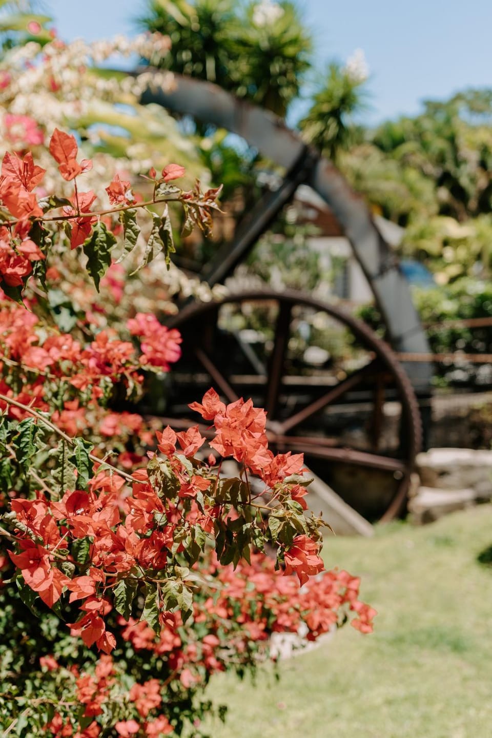 Day, Garden, Garden, Garden view