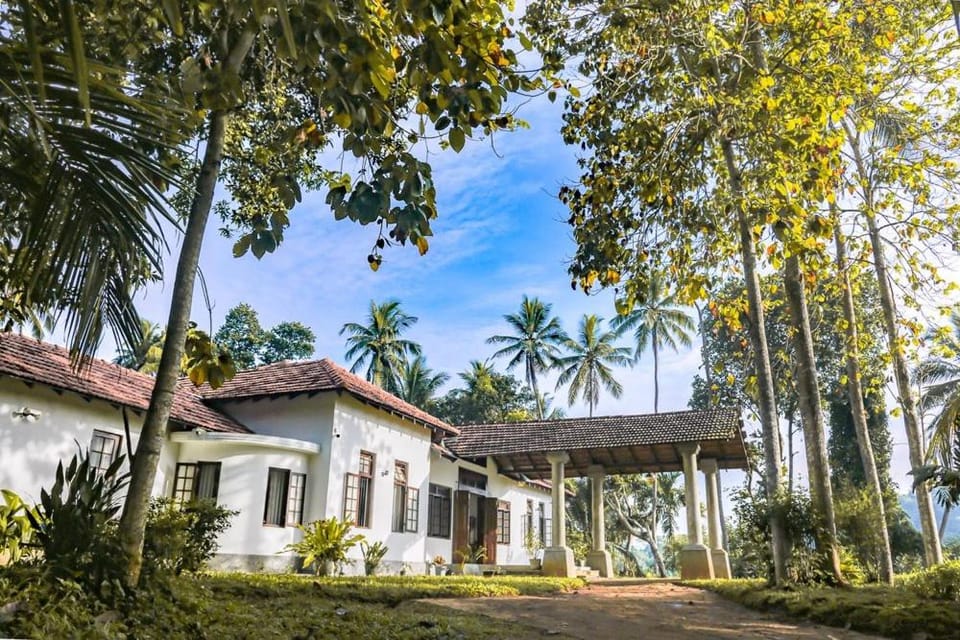 Property building, Day, Natural landscape, Garden, Garden, Garden view
