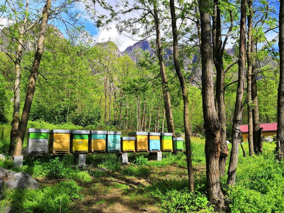 Agriturismo Val Codera Farm Stay in Canton of Grisons