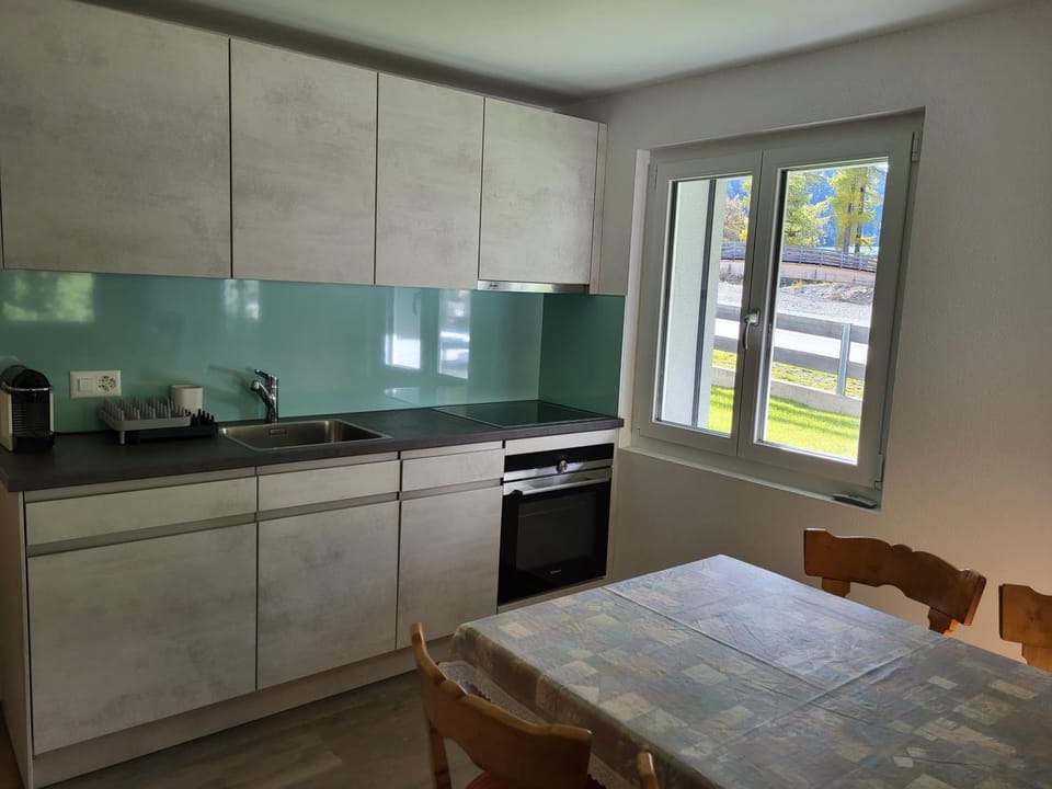 Kitchen or kitchenette, Dining area, pet friendly, stove