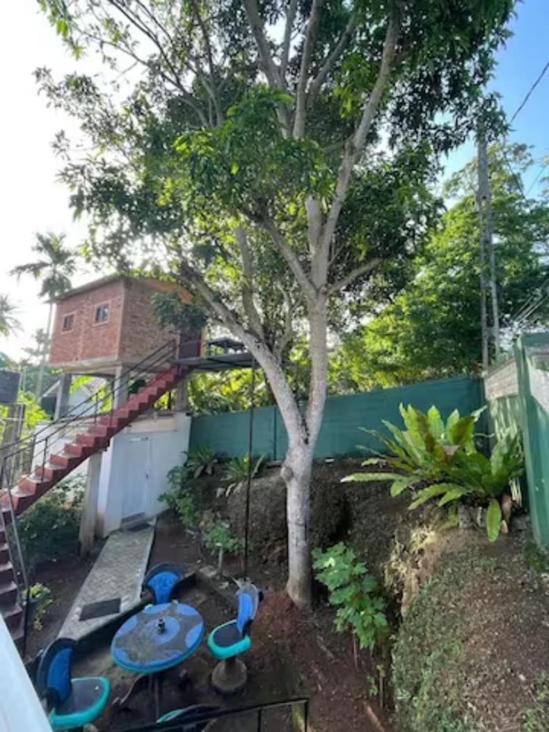 Day, Garden, Garden view