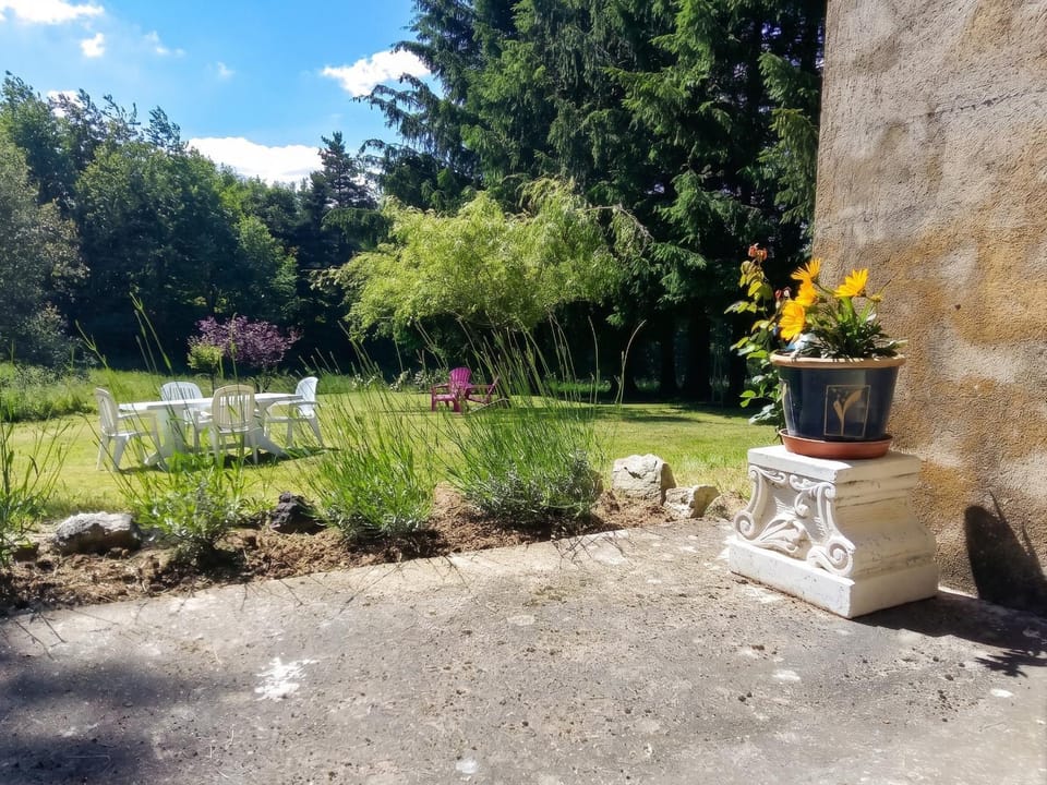 Garden view