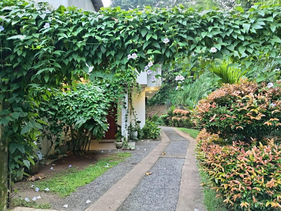 Garden, Garden view