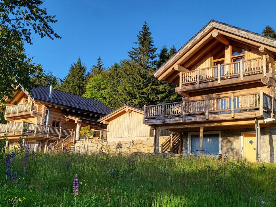 Property building, Natural landscape, Garden