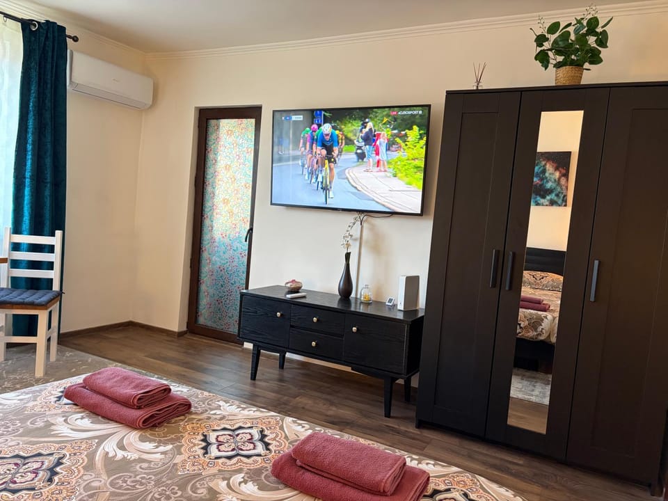 Alio Room Campulung Moldovenesc Apartment in Romania
