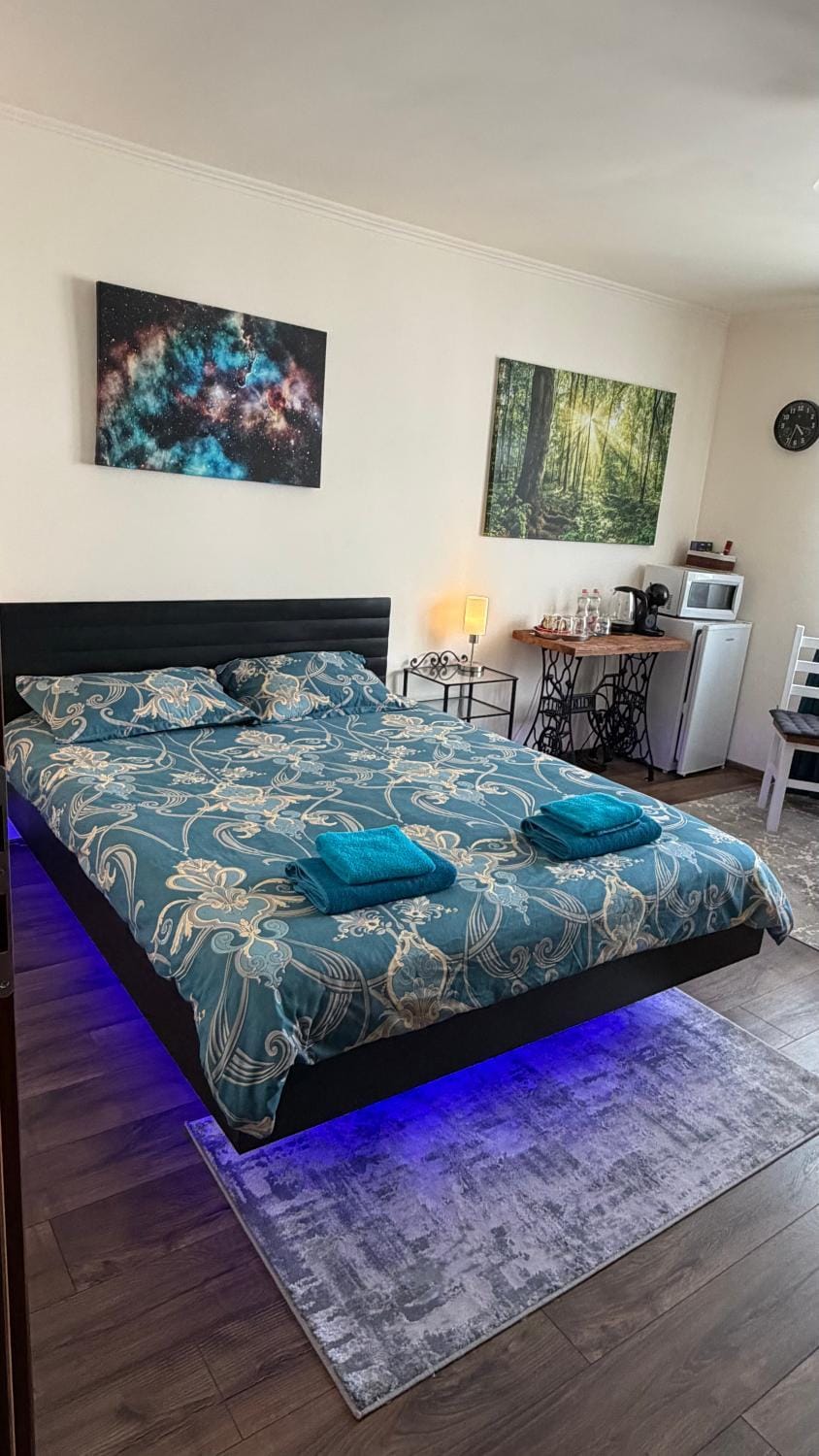 Alio Room Campulung Moldovenesc Apartment in Romania