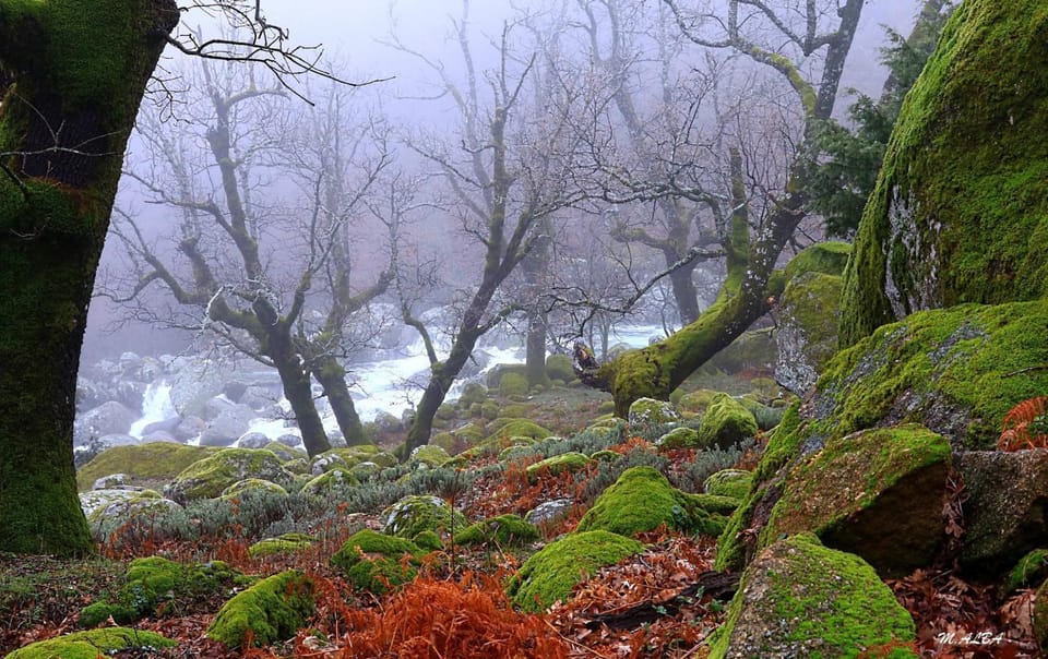 Natural landscape, Hiking