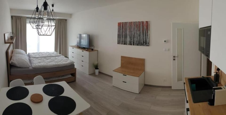 TV and multimedia, Living room, Photo of the whole room, Bedroom
