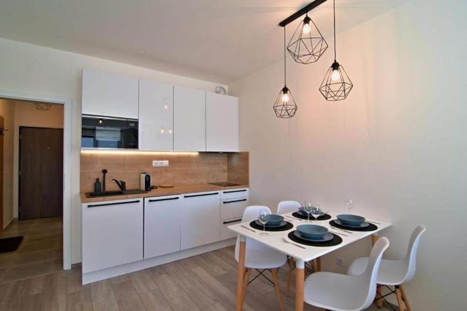 Kitchen or kitchenette, dishwasher, minibar, stove
