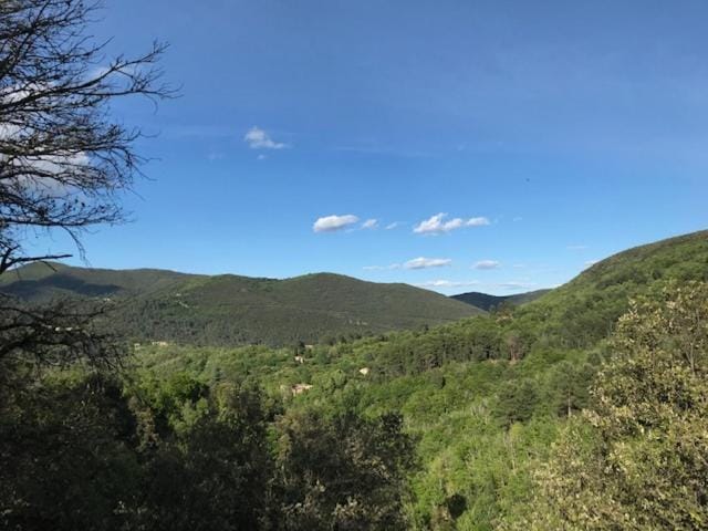 Mountain view