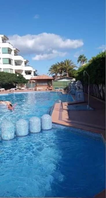 Day, Pool view, Swimming pool