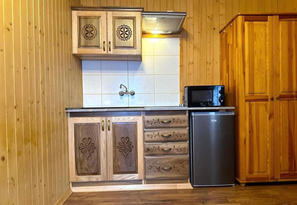 Kitchen or kitchenette, minibar, wardrobe