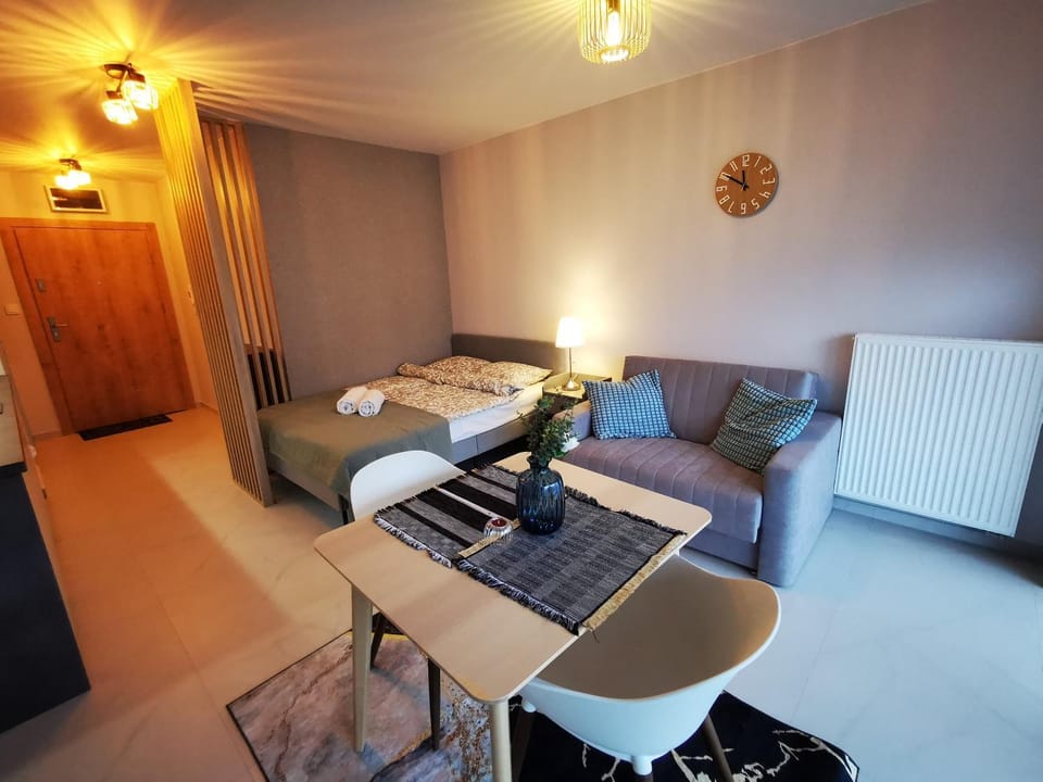 TV and multimedia, Kitchen or kitchenette, Living room, Photo of the whole room, Seating area, Dining area, Bedroom, hair dresser