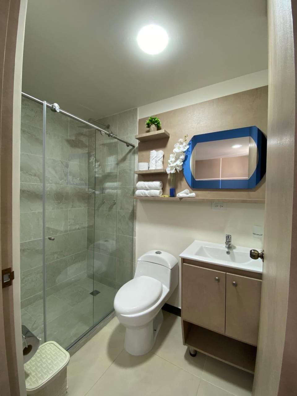 Shower, Toilet, Bathroom, towels