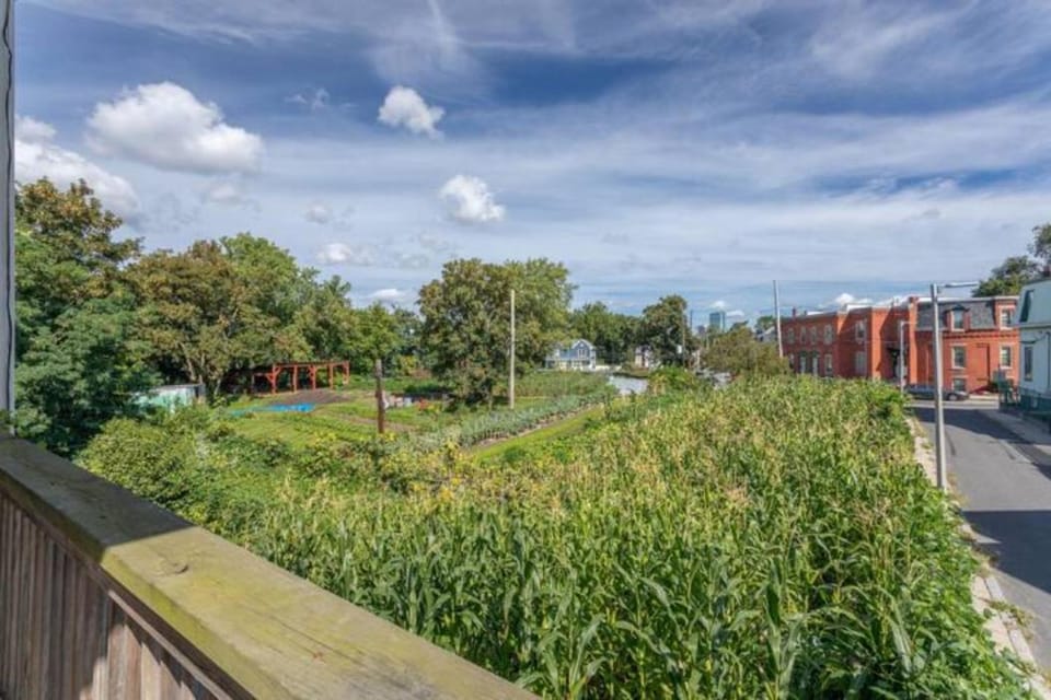Natural landscape, Garden view