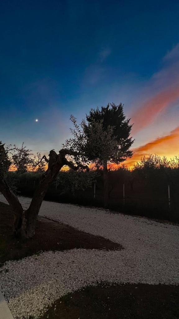 Natural landscape, Sunset