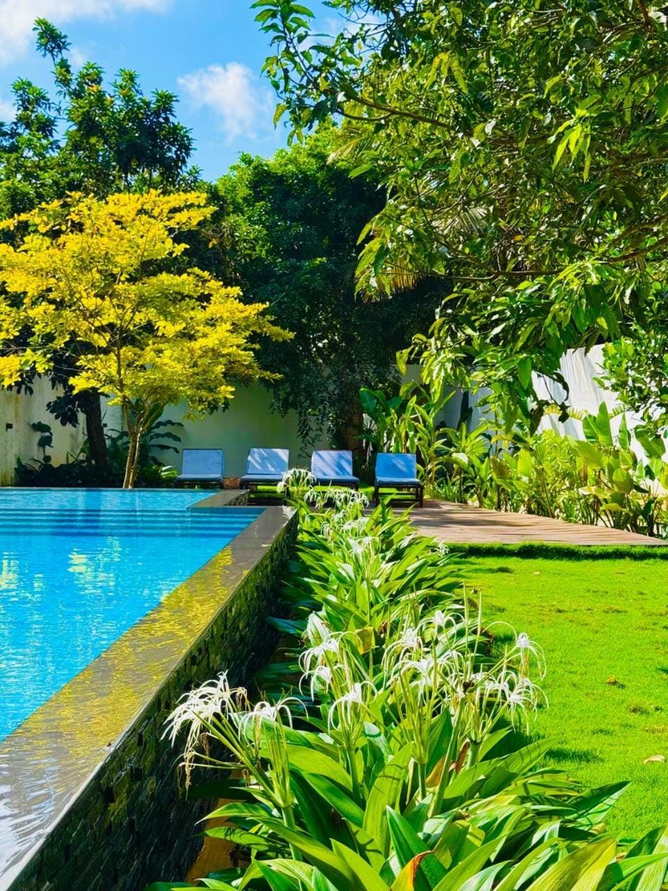 Garden view, Swimming pool