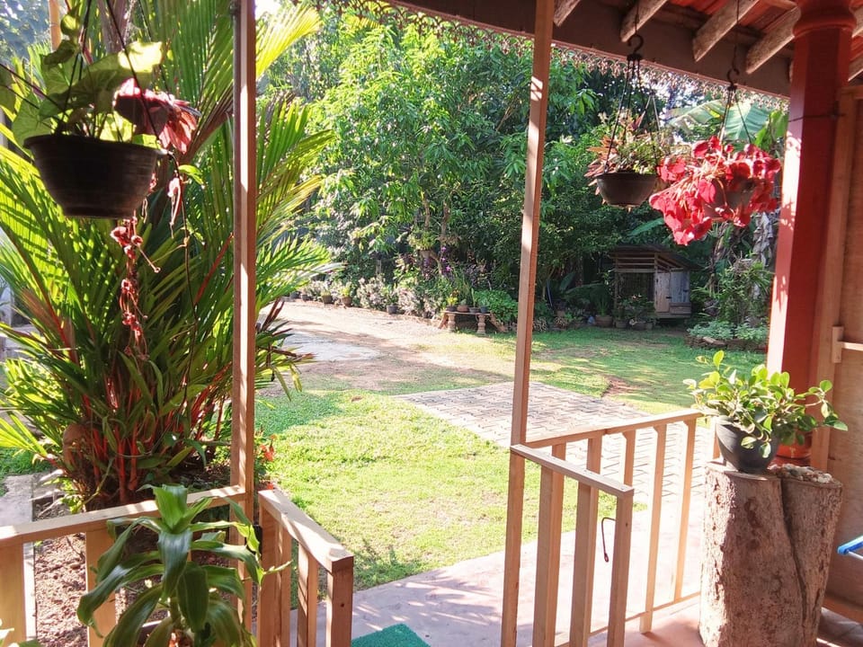 View (from property/room)