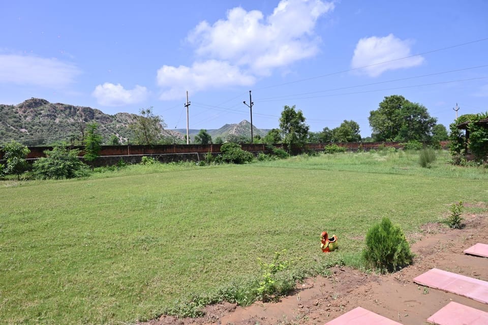 Natural landscape, Garden, Garden view
