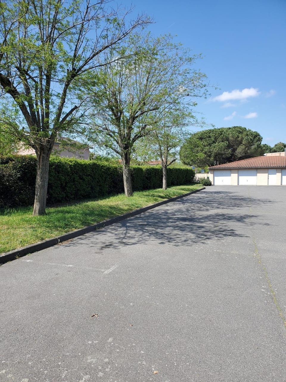 APPT Cosy entier avec piscine Apartment in Toulouse