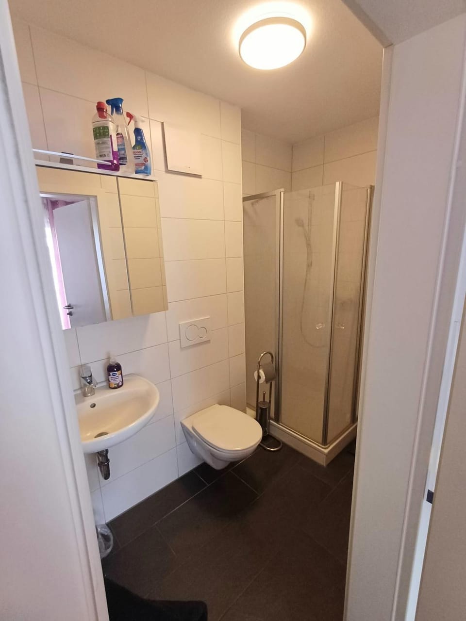 Shower, Toilet, Bathroom, towels