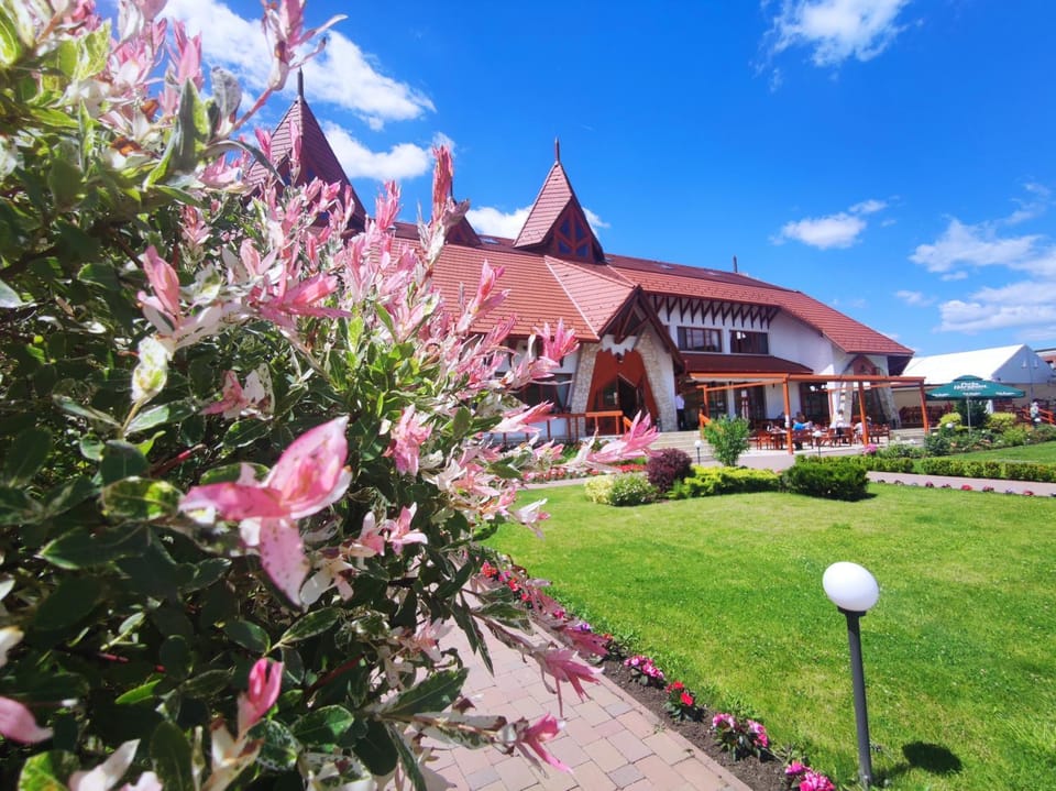Bonanza Pensiune & Restaurant Bed and Breakfast in Cluj County