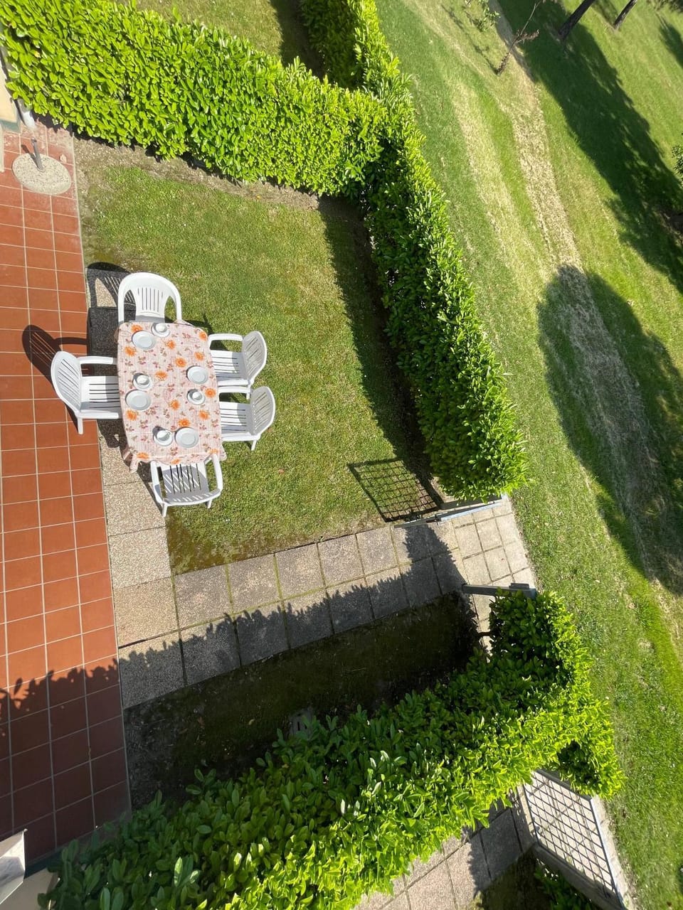 Day, Garden view