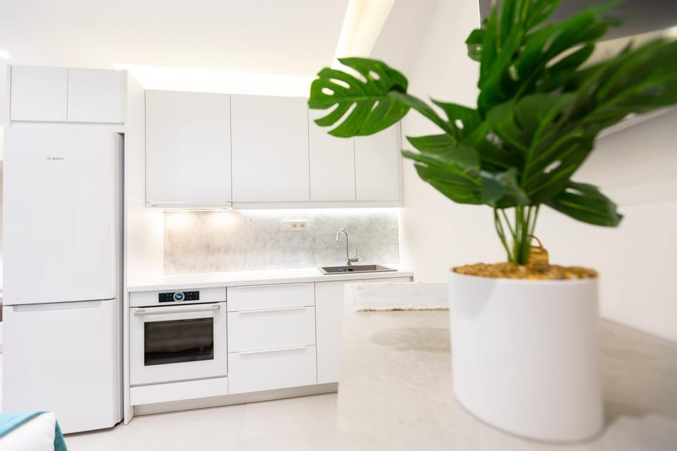 Kitchen or kitchenette, oven, stove