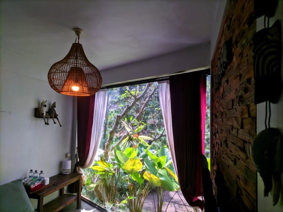 Garden, Living room, Seating area, Garden view