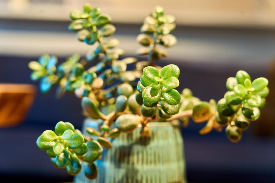 Decorative detail