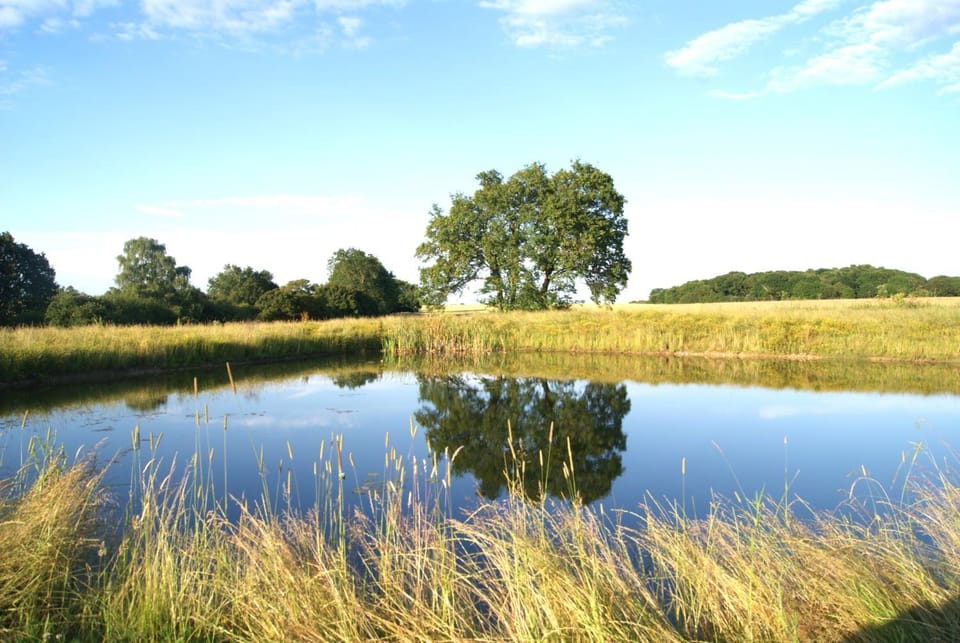 Natural landscape, Lake view