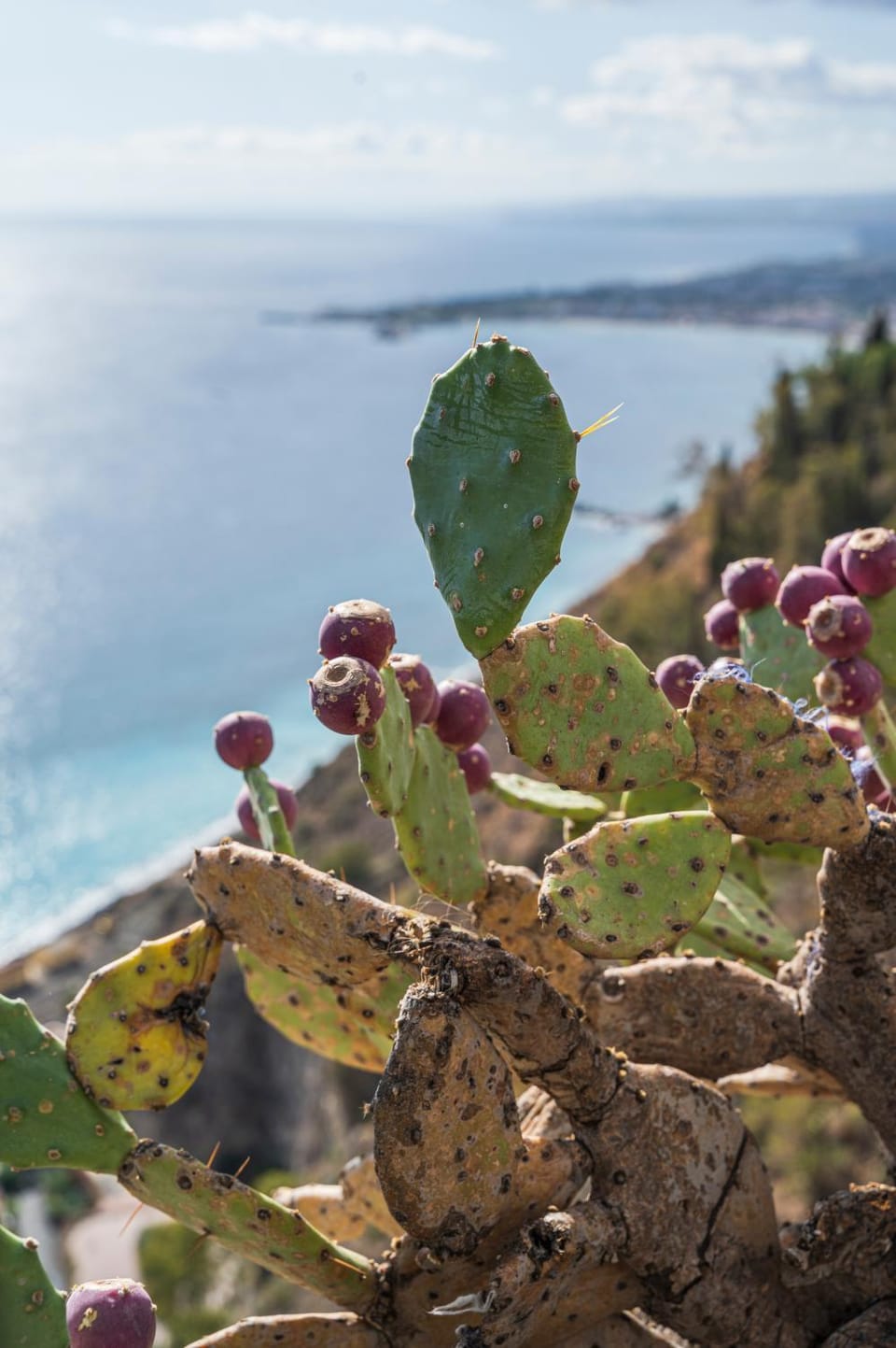 Nearby landmark, Natural landscape, Beach, Mountain view, Sea view