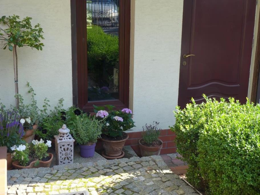 Spacious apartment in green district. Apartment in Wroclaw